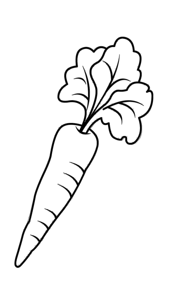 Havuç boyama çocukların besinleri tanıyabilmesi için güzel bir etkinlik olabilir. Havuç boyama sayfası okul öncesi ve ilkokul çocukları için uygundur.